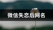 失恋的网名,情感抒发与自我疗愈的符号语言”