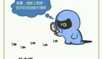处女座怎么了,揭秘星座中的完美主义者之谜