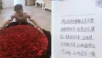 999sf.com,揭秘神秘网站背后的故事与魅力