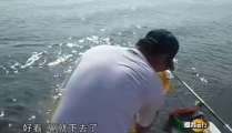 四海钓鱼频道渔我同行,四海钓鱼频道带你领略钓鱼的魅力与技巧