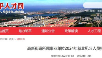 滨州招聘网站大全,一站式求职服务平台盘点