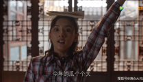 吃瓜娱乐圈的大番薯,番薯的瓜田奇遇记
